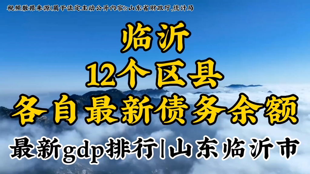 山东临沂下下辖12个区县最新债务余额以及各自gdp最新排行.发掘城市数据,洞察别样临沂哔哩哔哩bilibili