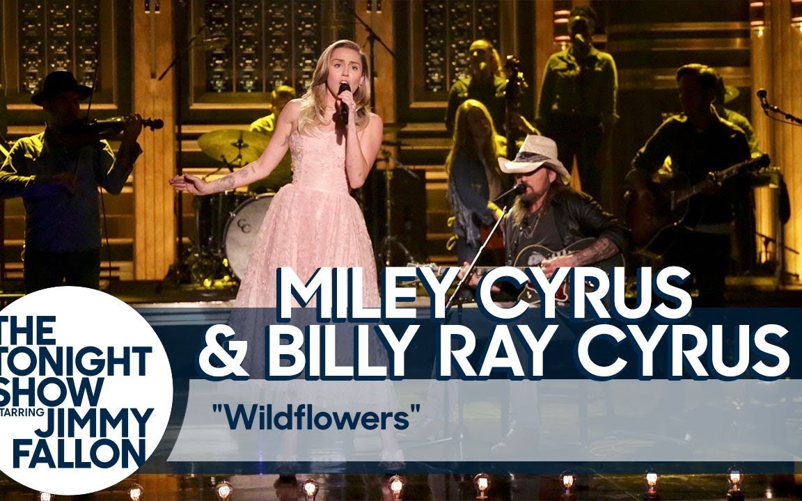 [图]Miley Cyrus—-Wildflowers