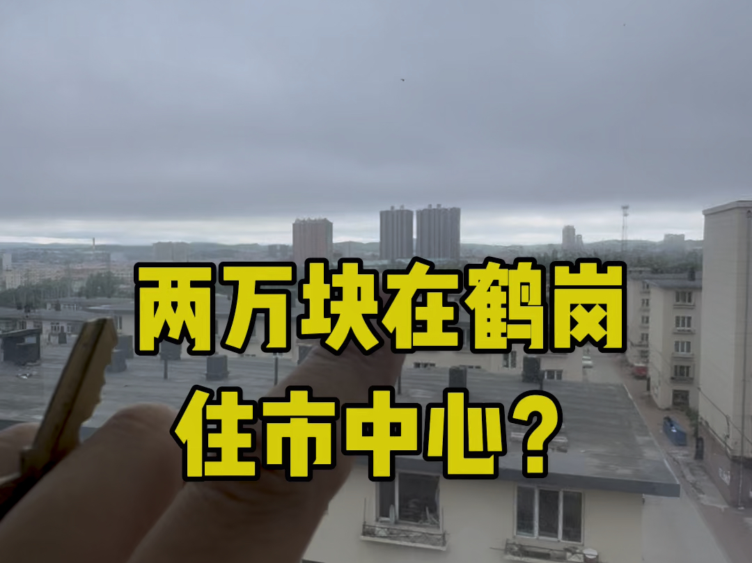 2万块可以住到鹤岗市中心?哔哩哔哩bilibili