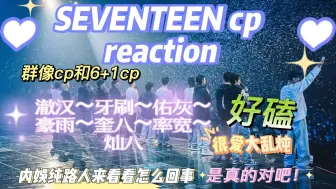 Download Video: 【SEVENTEEN cp reaction】内娱纯路人来看seventeen cp群像啦～澈汉/牙刷/佑灰/豪雨/奎八/率宽/灿八～来看看你最pick哪一对！