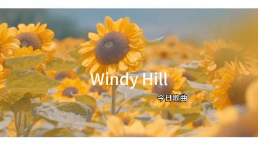 【今日歌曲】《Windy Hill》,一首治愈心灵的轻音乐哔哩哔哩bilibili