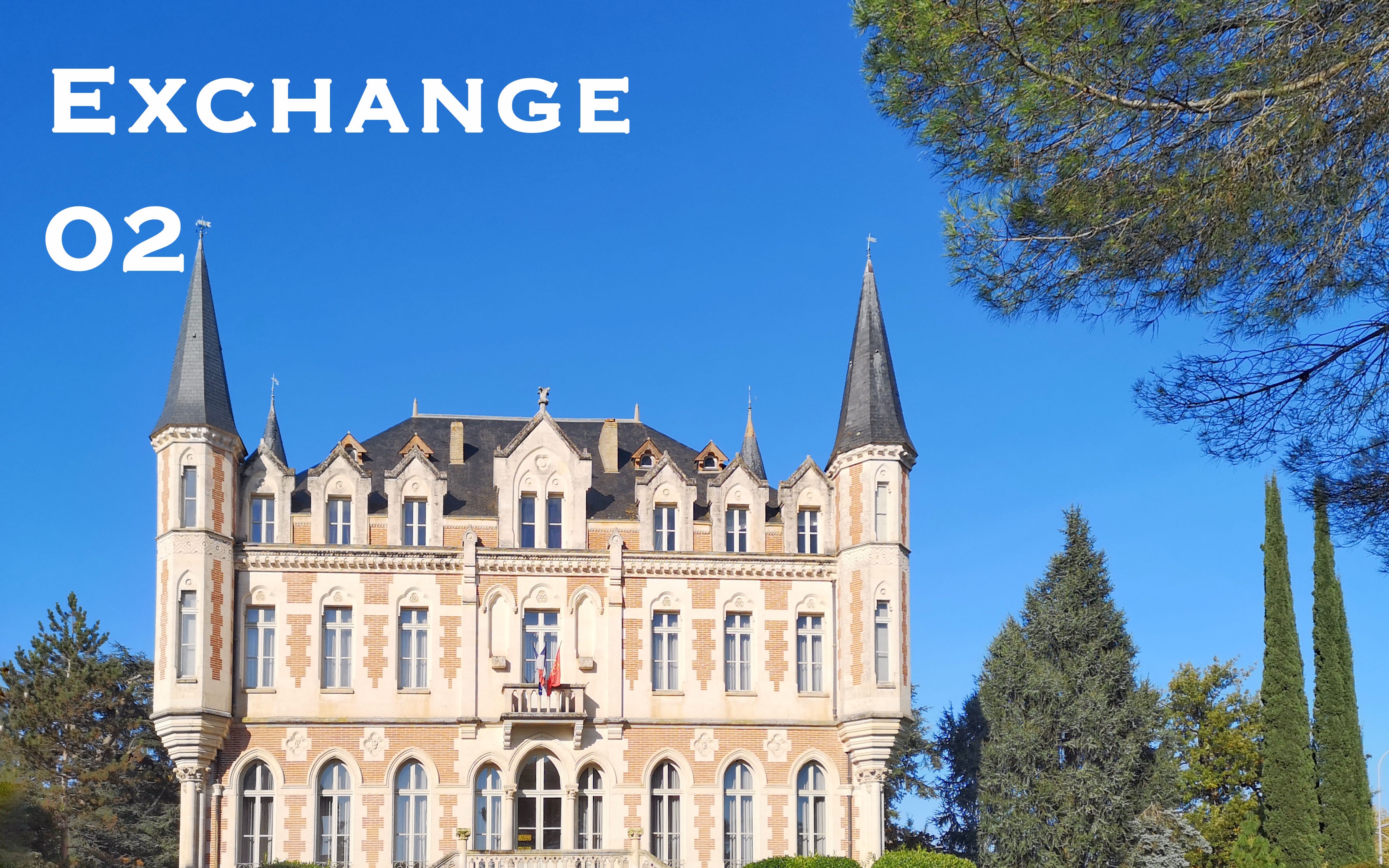 02studyingatiscidtoulouse法国图卢兹大学交换留学课堂