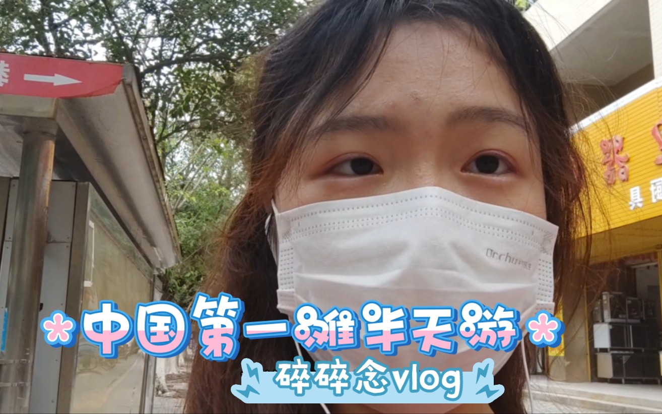 从化州到电白 大学生的半天穷游旅行vlog开学前把家乡美景记录下来哔哩哔哩bilibili