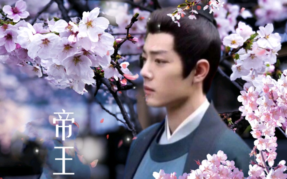 《帝王攻略》是大房还是二房呢?有建议吗宝贝们?