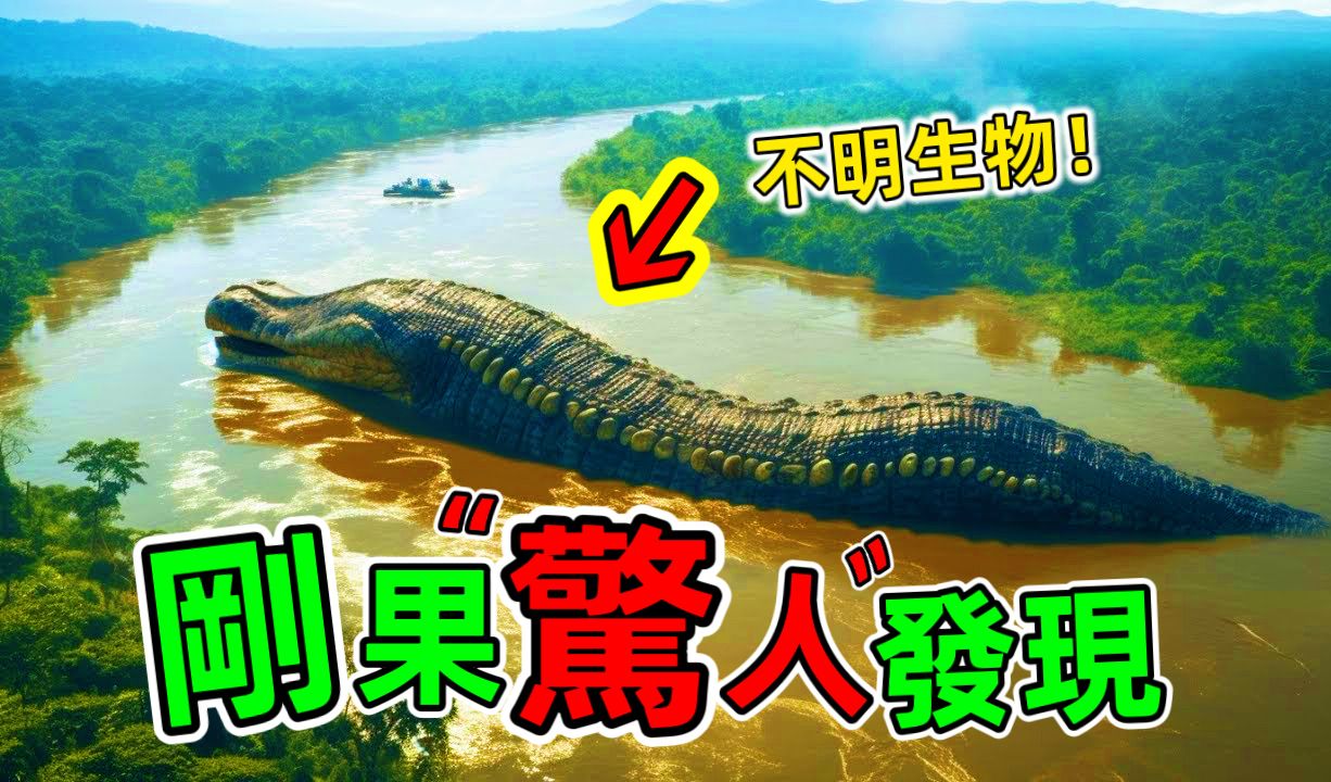 刚果惊人发现:被称为“人类禁区”的地方,隐藏着许多神秘生物哔哩哔哩bilibili