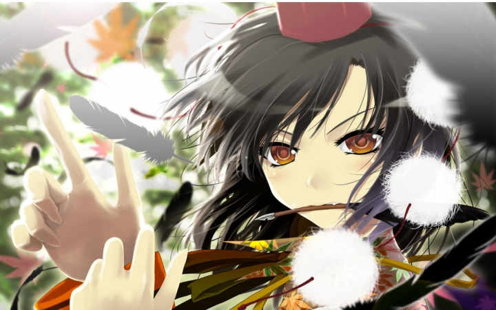 【东方文花帖ds】文花帖ds射命丸文初通_哔哩哔哩_bilibili