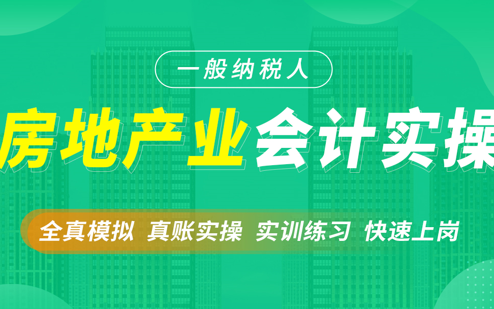 会计真账实操|行业实操|房地产行业会计实操|全盘帐|房地产会计哔哩哔哩bilibili