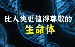 微生物世界 哔哩哔哩 Bilibili