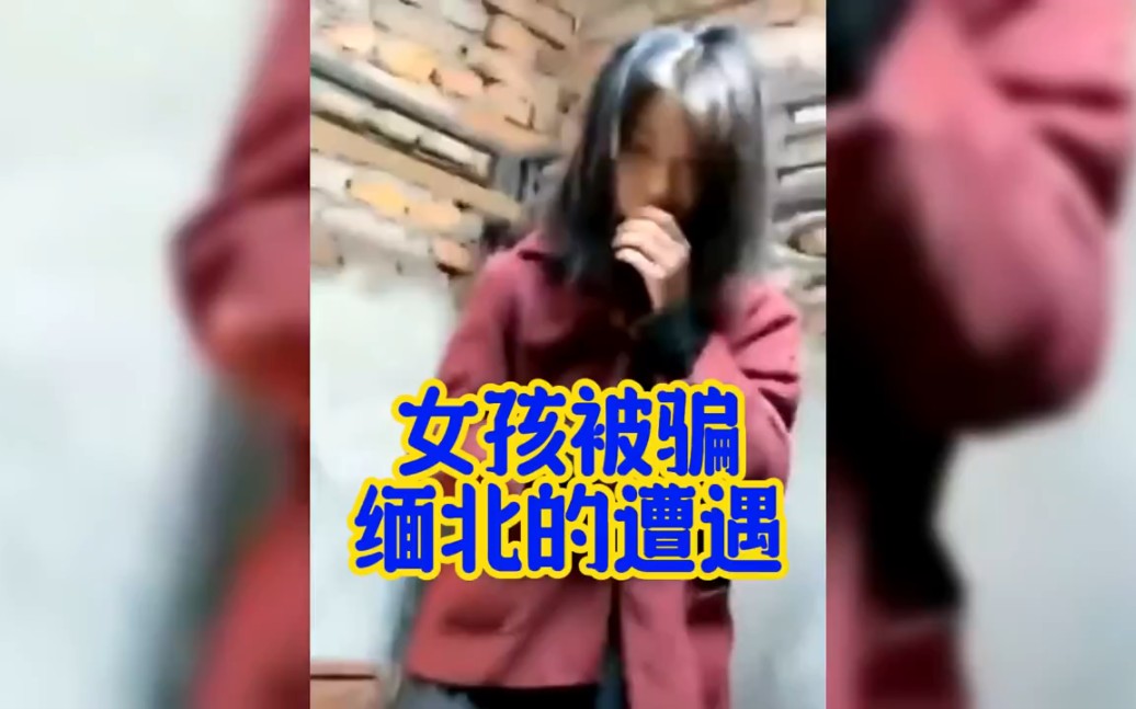 女孩被骗缅北的遭遇哔哩哔哩bilibili