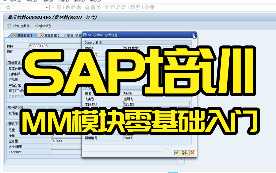 10天教会你SAP MM模块 SAP基础教程哔哩哔哩bilibili