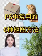 Скачать видео: PS中常用的6种抠图方法