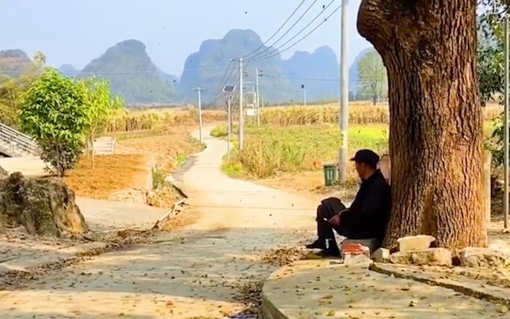 [图]“这是最平凡的一天，你也想念吗”