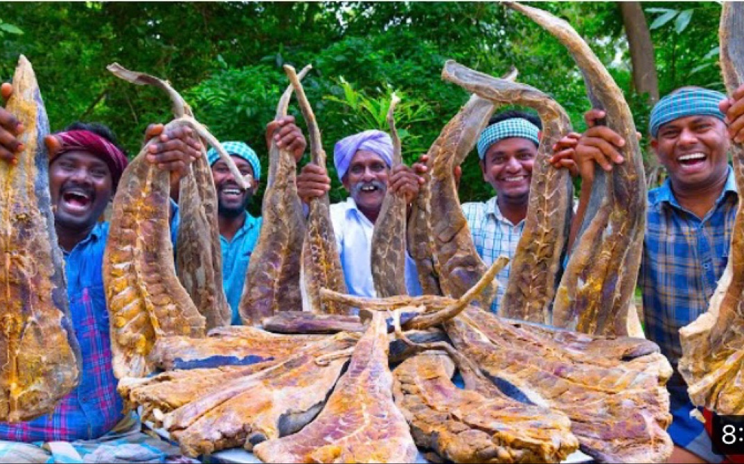 干的黄貂鱼奇特的烹饪方法#野外制作多味干鱼