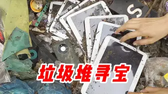 Descargar video: 在垃圾堆寻宝，不仅有平板电脑，还有苹果手机