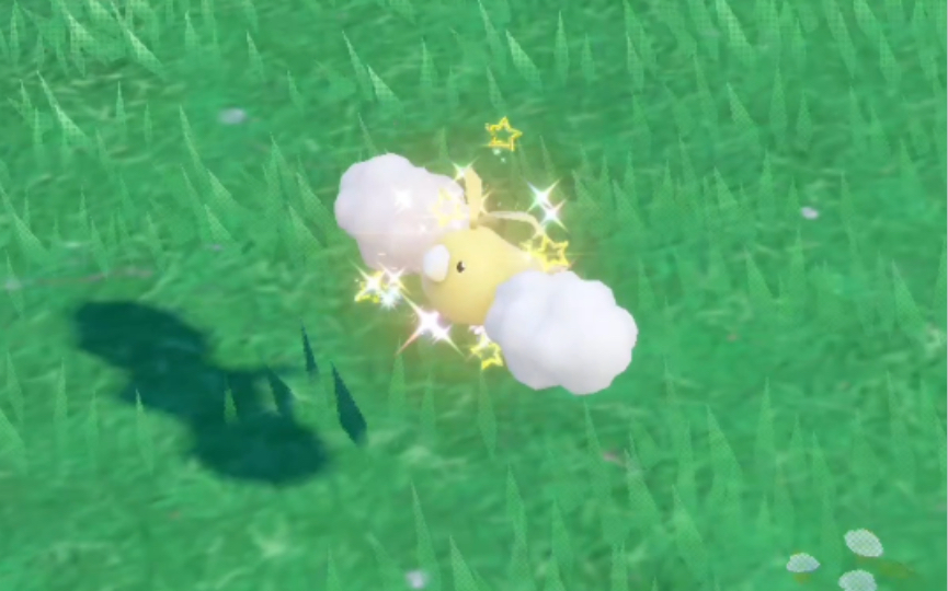 软绵绵的闪光青绵鸟!好想趴到它怀里!