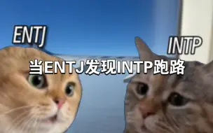 Download Video: 当ENTJ发现INTP跑路