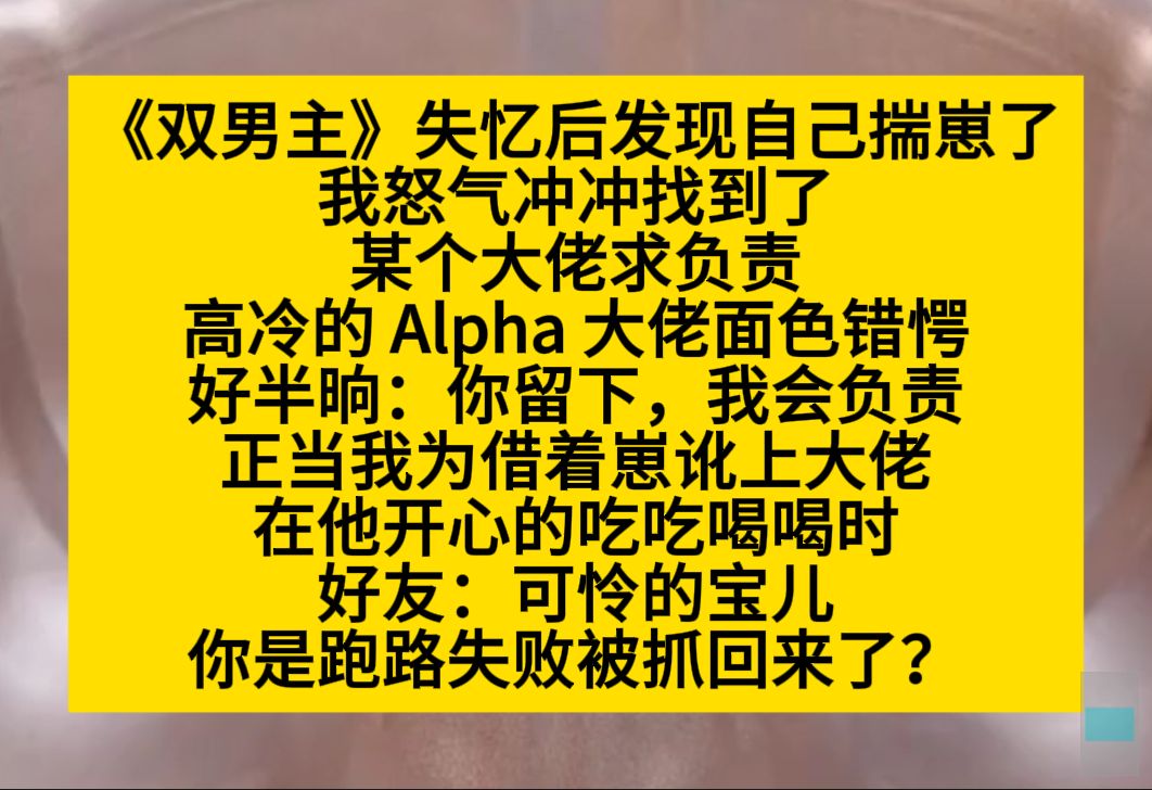 原耽推文 失忆后我发现自己揣崽了,怒气冲冲让大佬负责,后来我才知道,我是从囚禁我的大佬哪里逃出来的……小说推荐哔哩哔哩bilibili