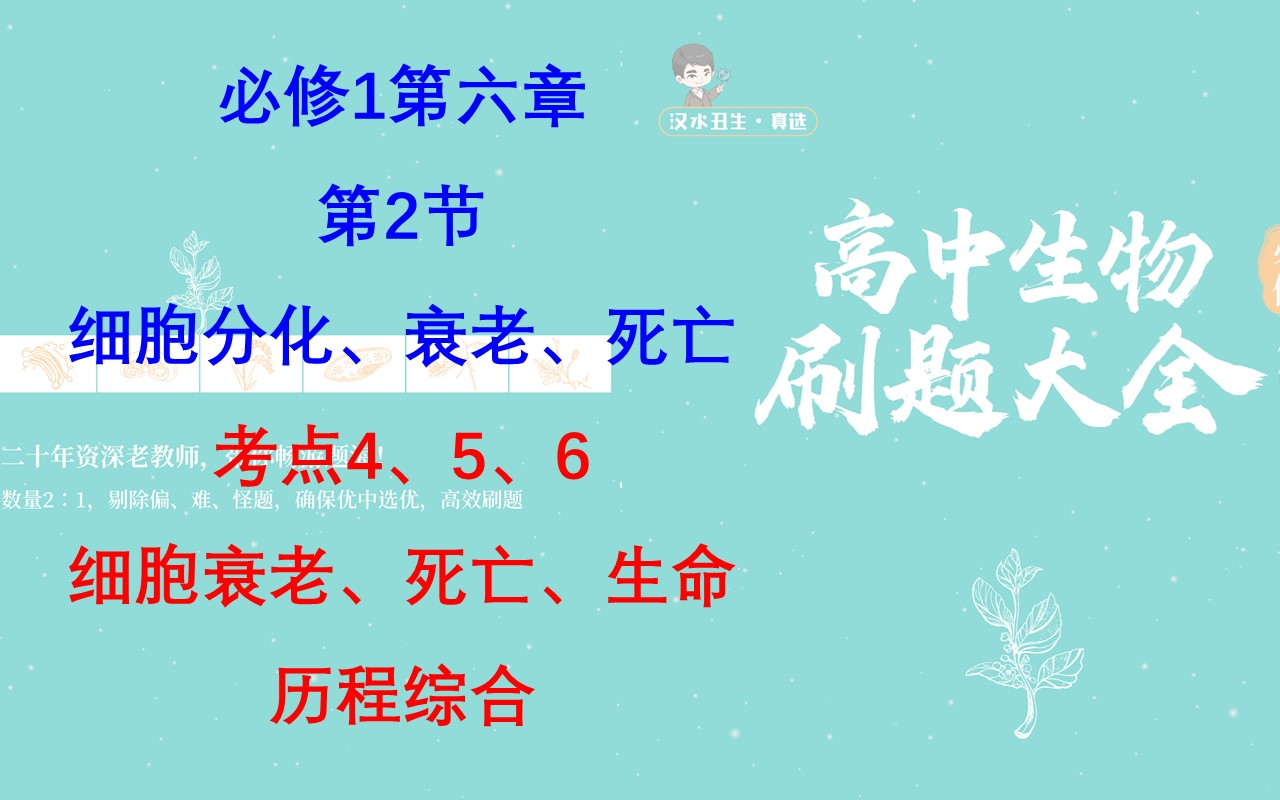 《刷题大全》/必修1/第六章/第2节/考点4、5、6:细胞衰老、细胞死亡、细胞生命历程综合哔哩哔哩bilibili