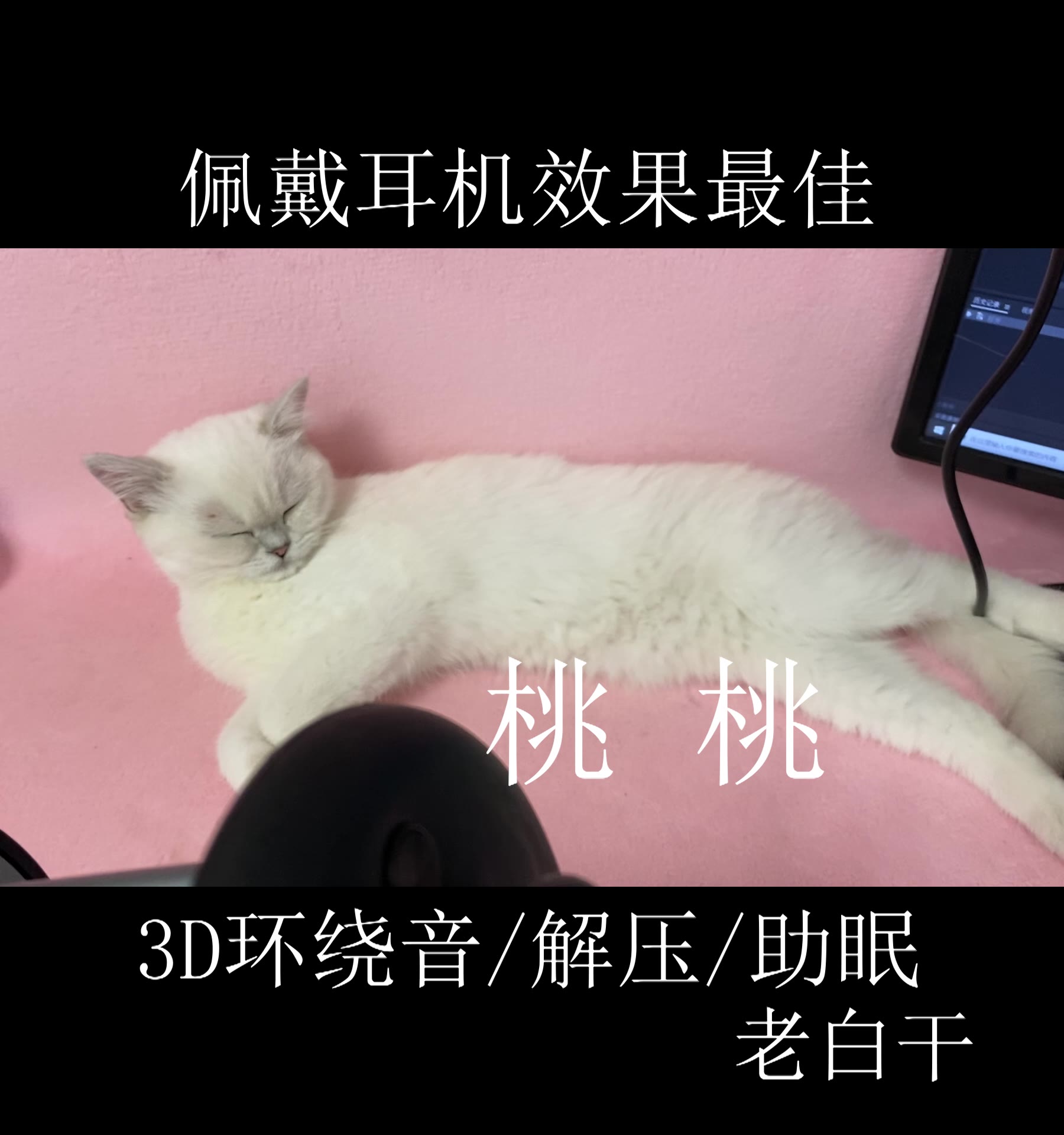 桃桃助眠哄睡全程敲击音老白干解压放松