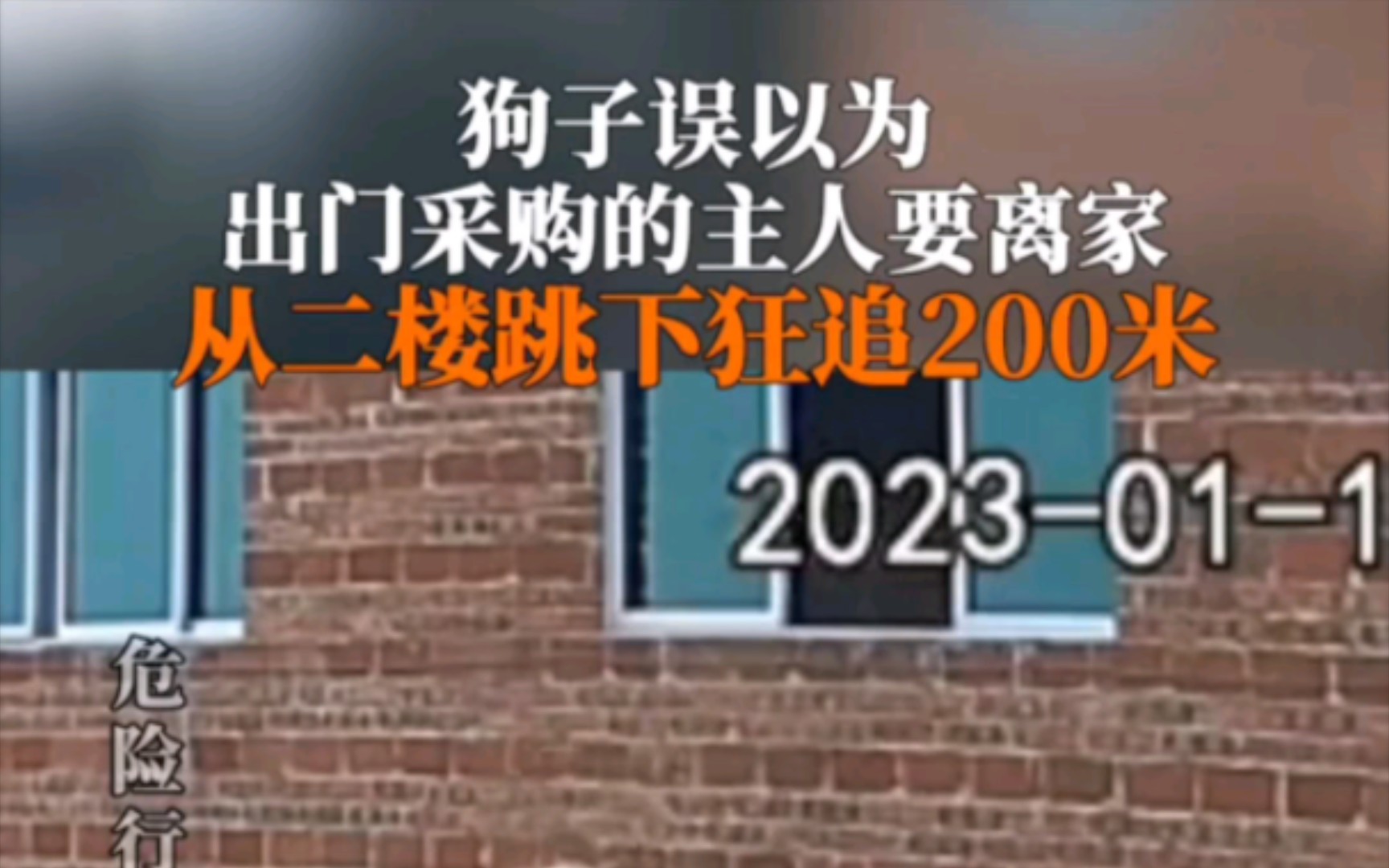 狗狗误以为主人离家不要自己了从二楼跳下狂追200米哔哩哔哩bilibili