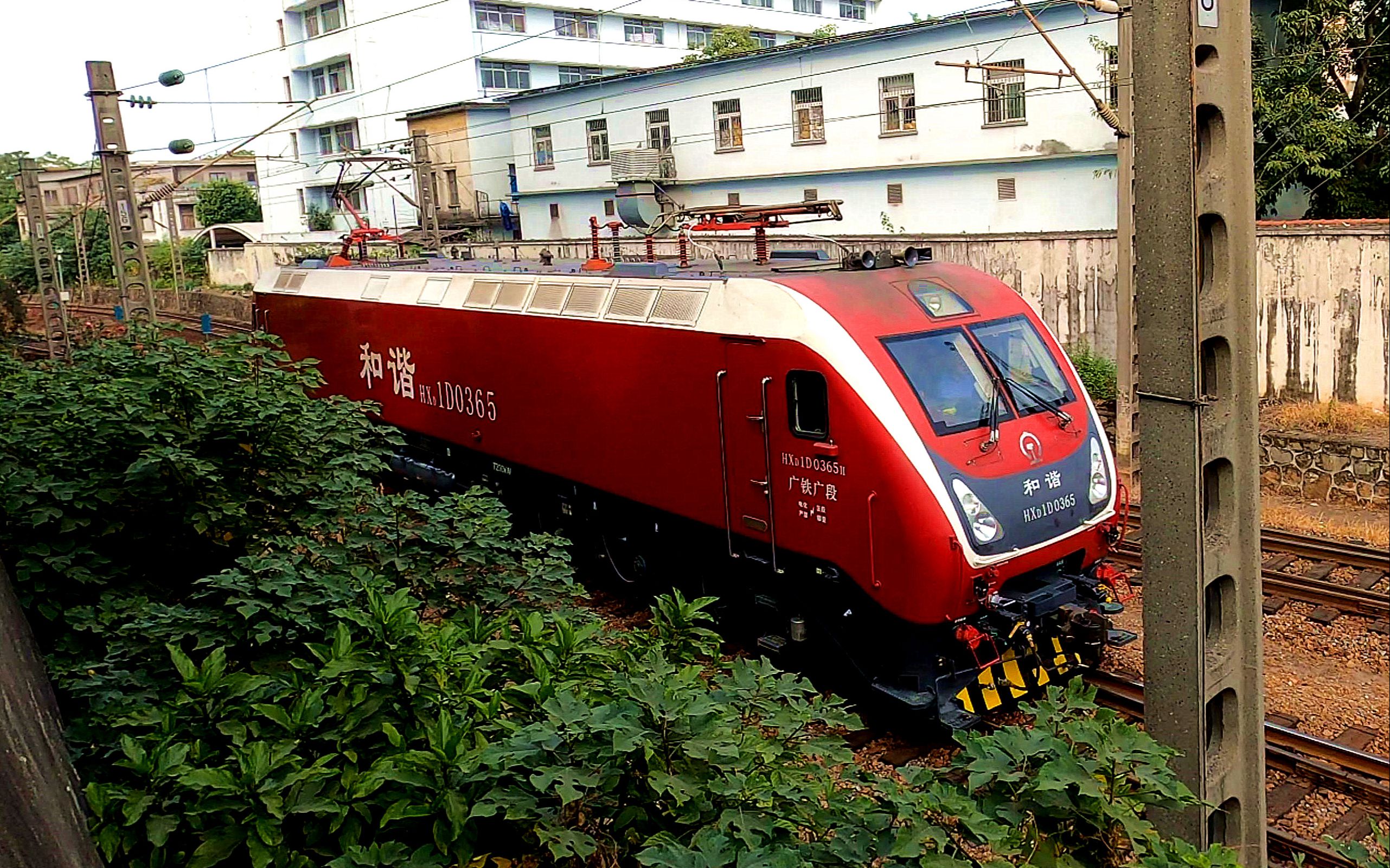广铁广段hxd1d 0365大红枣准高电力机车通过广机出库线