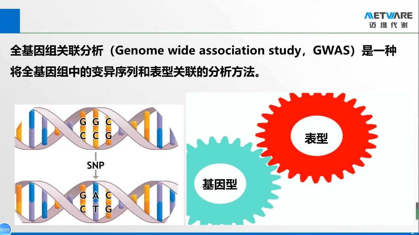 一分钟了解GWAS哔哩哔哩bilibili