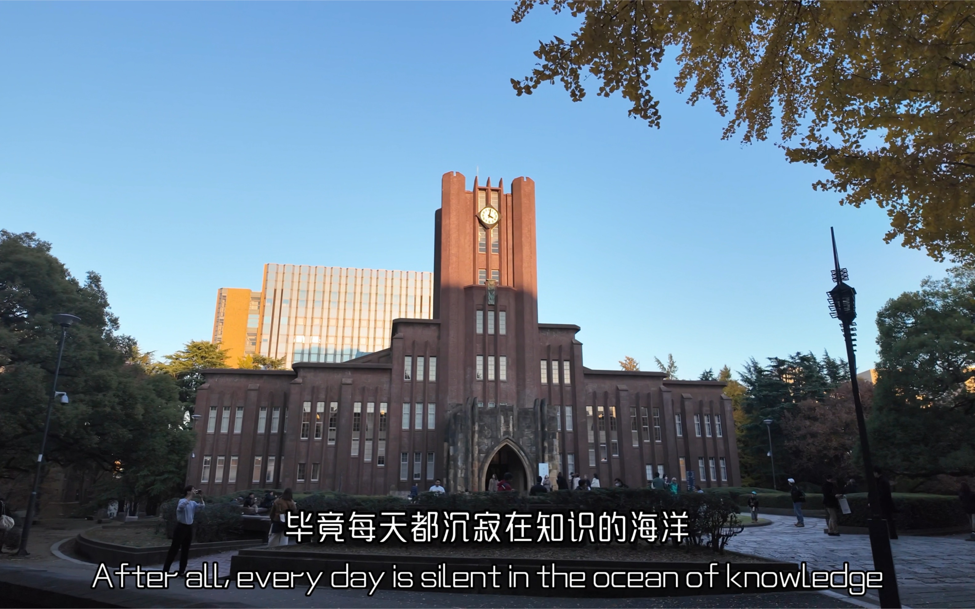 亚洲最高学府|亚洲第一大学|东京大学这里的每一块砖,一棵树都是岁月
