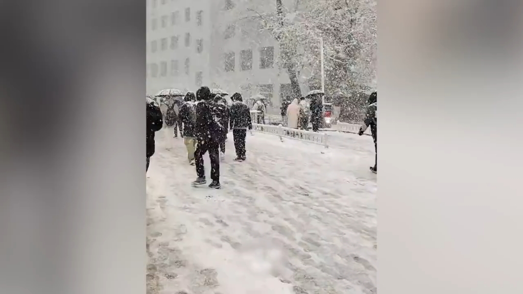 [图]东北下雪了 滚雪球好羡慕 好多年没下大雪了