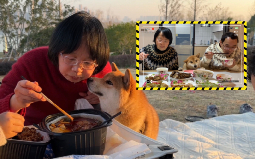 [图]在家有素质，出门靠绳子！柴犬的真实写照