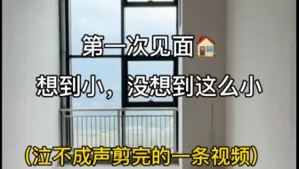 28岁的我在南京首付20w买了一个小小公寓｜97s的视频我花了300天🥺