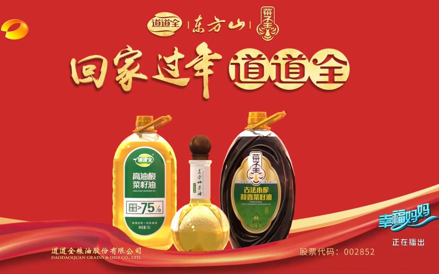 回家过年道道全·道道全2023年新年贺岁广告