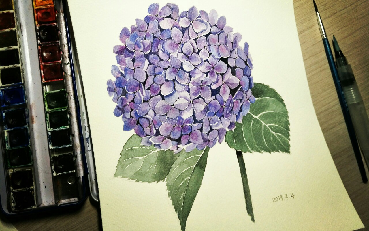 【水彩手绘】绣球花无尽夏_哔哩哔哩 (゜-゜)つロ 干杯~-bilibili