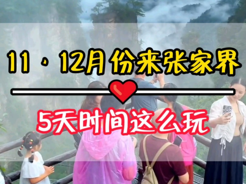 千万不要11月12月份来张家界了,人少景美,价格也便宜,如果你有5天时间行程可以这样安排!哔哩哔哩bilibili