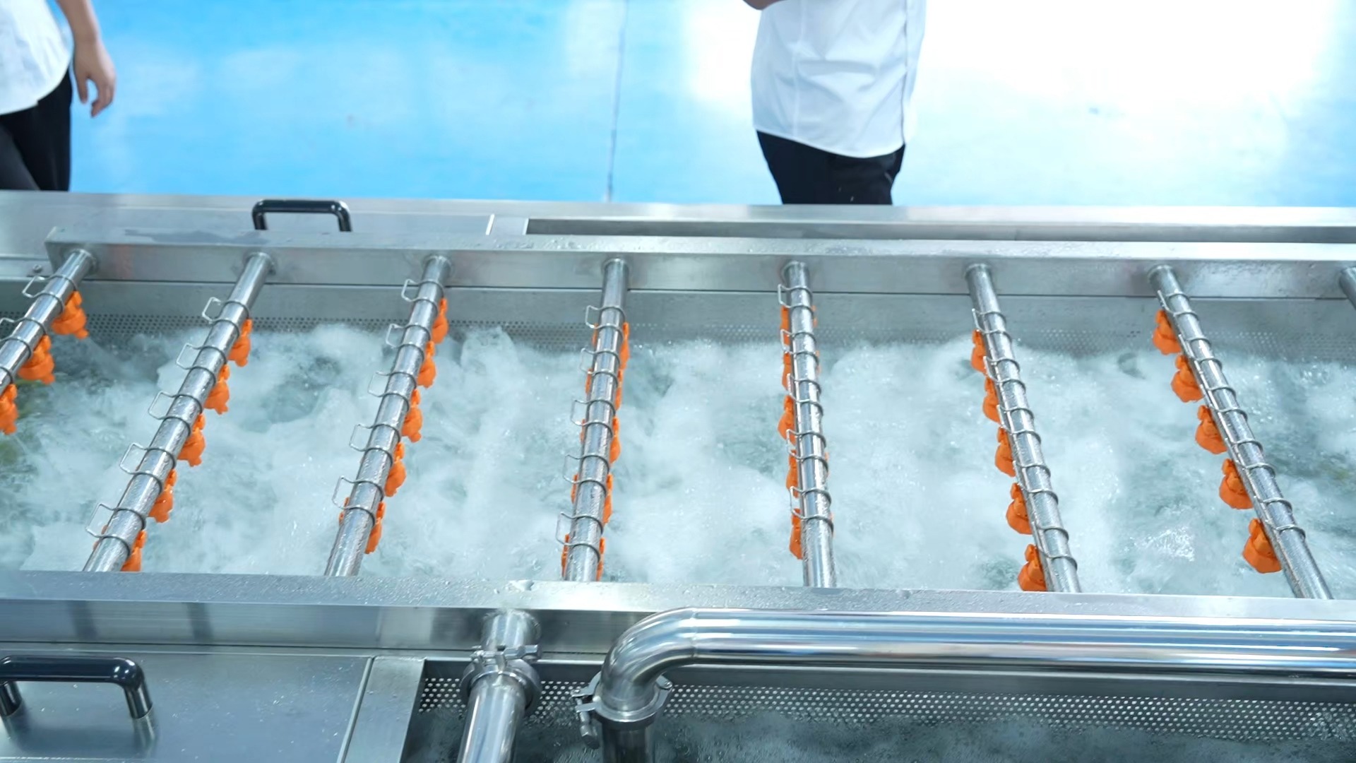 全自动化毛豆清洗加工设备,快速清洗毛豆用什么机器