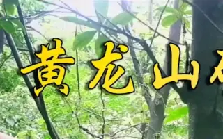 紫砂泥“黄龙山矿区”
