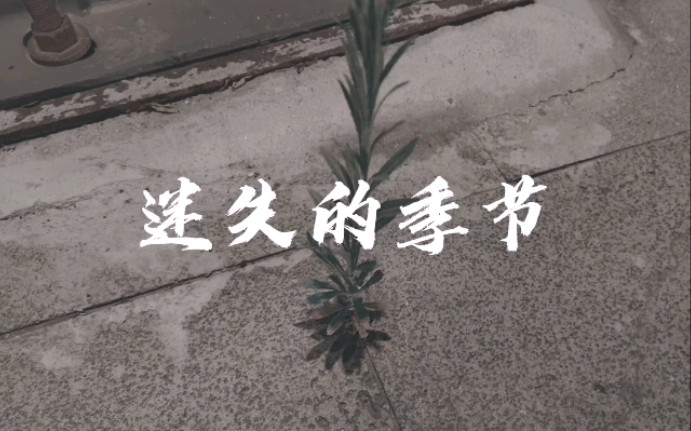 [图]《迷失的季节》崔健