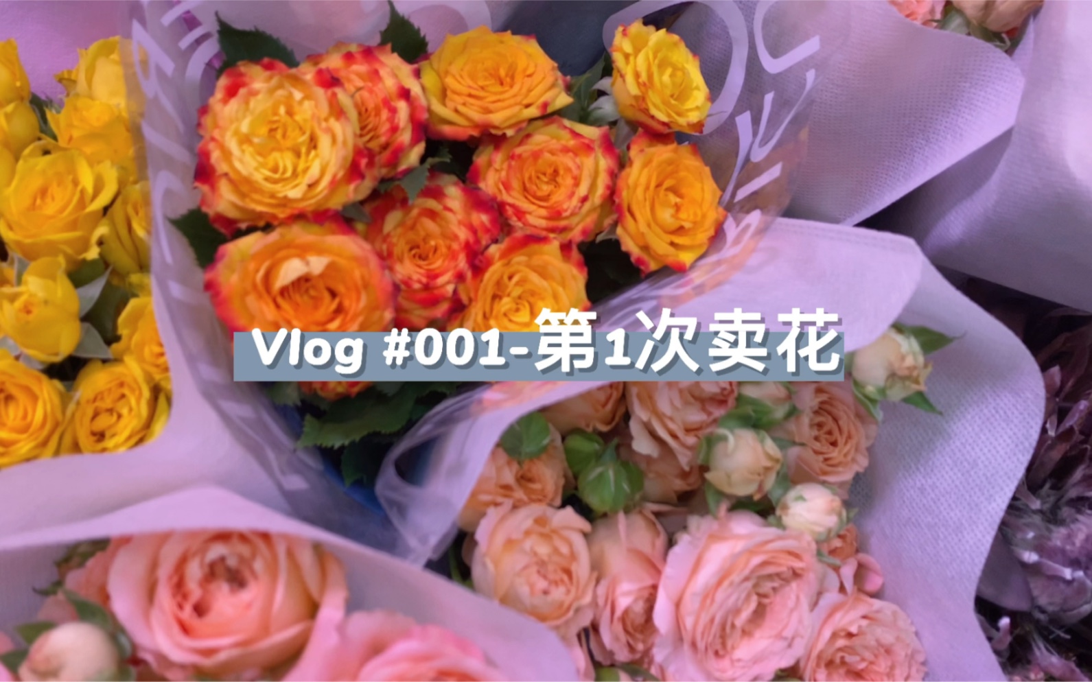 新手Vlog/520卖花/第一次当小老板就血赚了哔哩哔哩bilibili