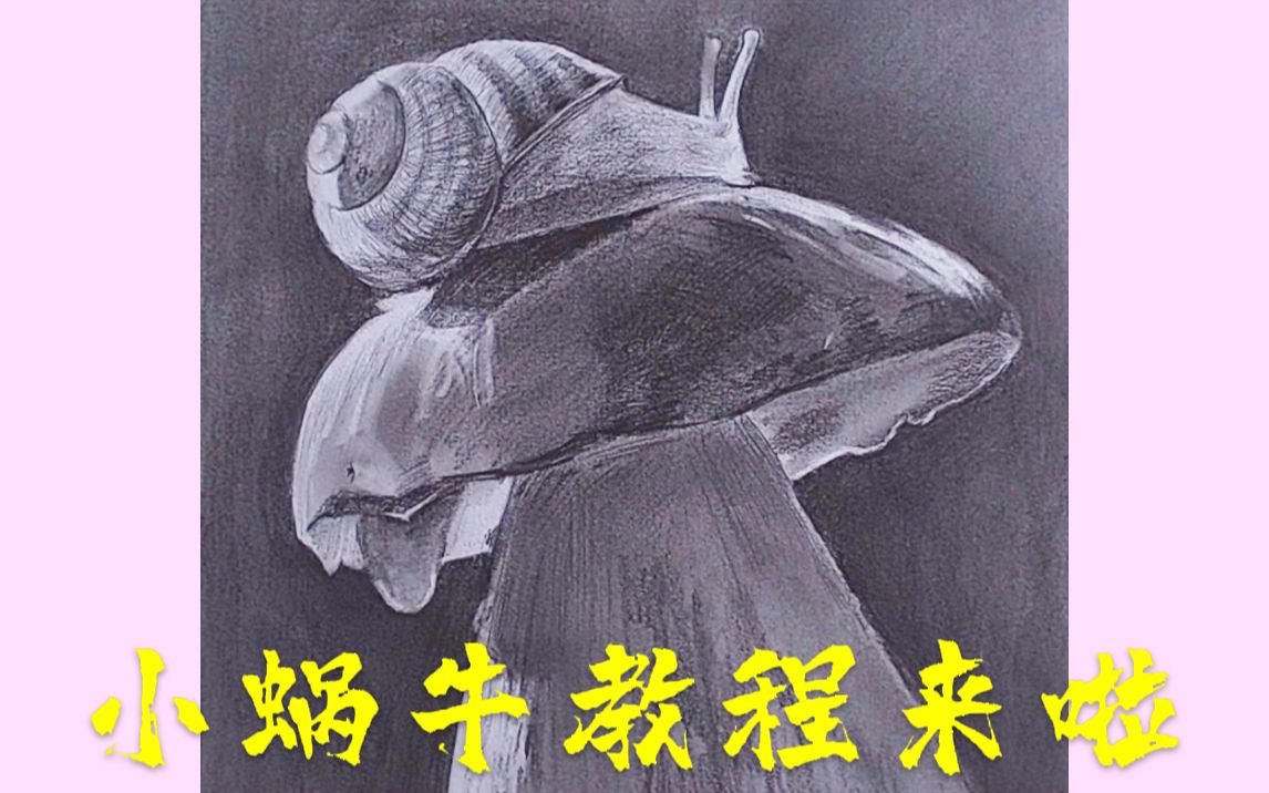 素描"蜗牛"怎么画(下),我赌你的手可以学会!【素描基础】【手绘素描】