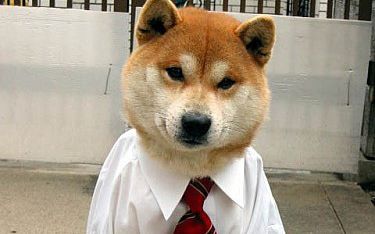 狗子,你别闹_搞笑_生活_bilibili_哔哩哔哩