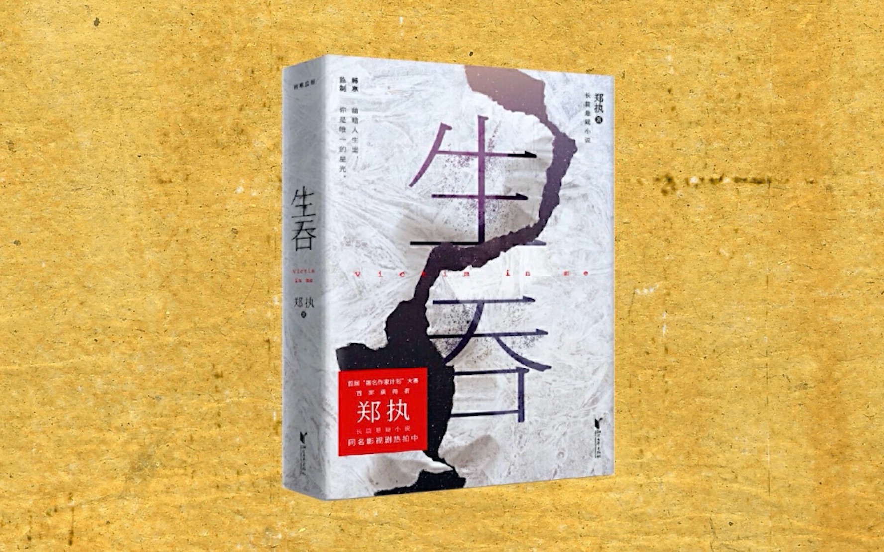 《生吞》的故事,从鬼楼前的一场奸杀案开始~8分钟读懂这部悬疑小说哔哩哔哩bilibili