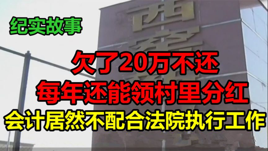 欠了20万不还每年还能领村里分红,会计居然不配合法院执行工作哔哩哔哩bilibili