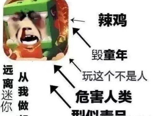 [图]MC一战老兵回忆录