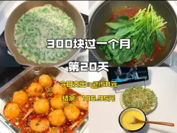 下载视频: 省钱日记｜独居｜300块过一个月的独居生活