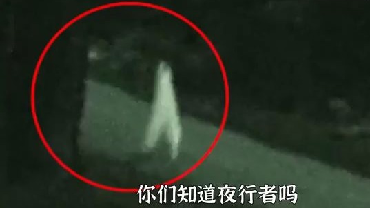 国外监控中拍到了神秘人形生物行走