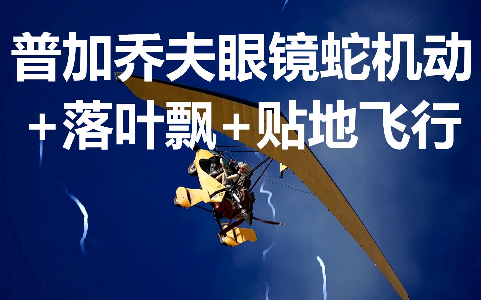 普加乔夫眼镜蛇机动 落叶飘 贴地飞行【滑翔机骚操作#3】!