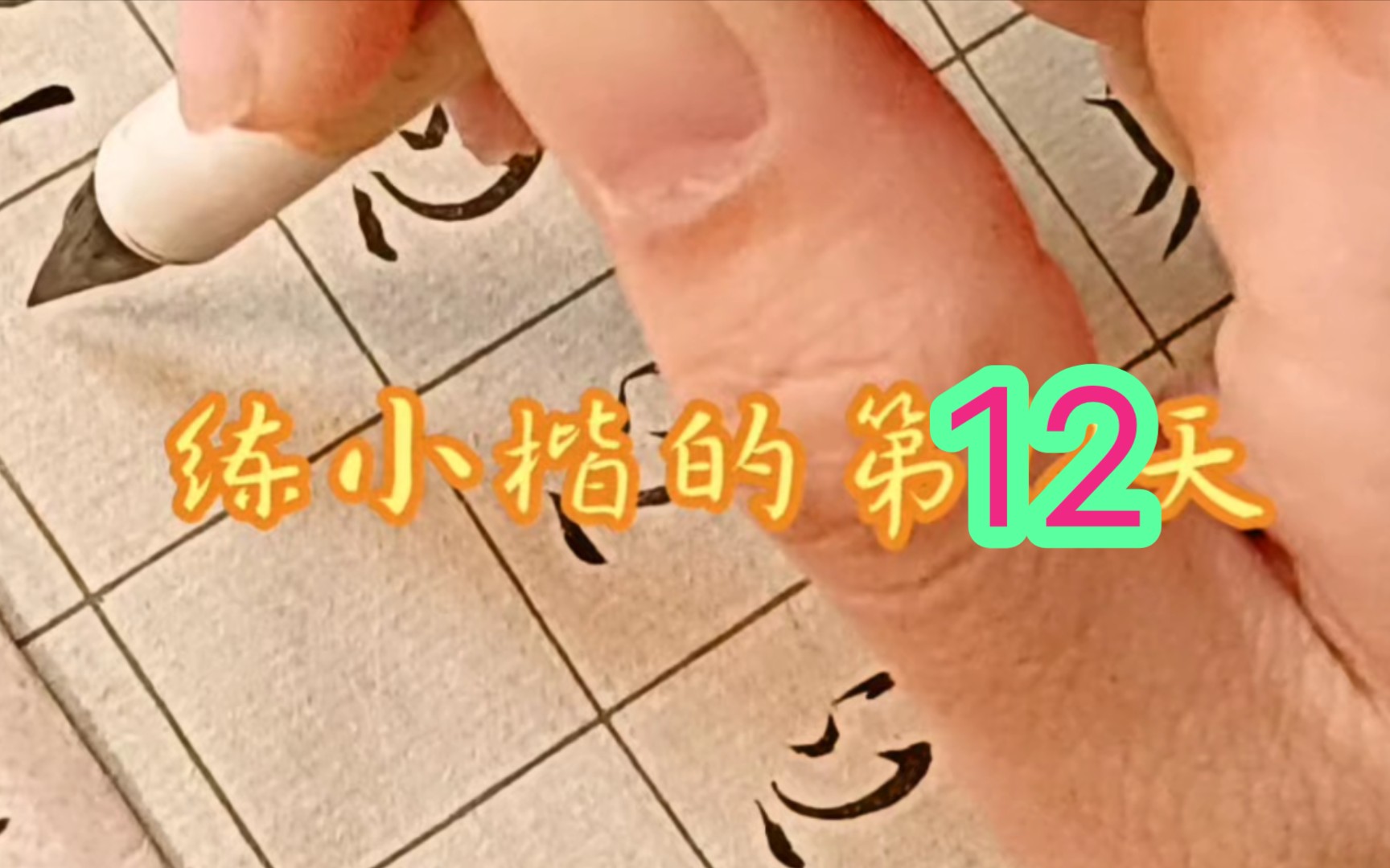 【练字】练字时长半个月的小学生写的哔哩哔哩bilibili