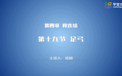 运动解剖学下肢骨连结足弓哔哩哔哩bilibili