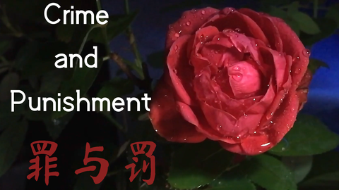 结月缘 罪与罚 Crime And Punishment 英语版 标准英语 哔哩哔哩