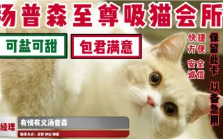 猫色场所 搜索结果 哔哩哔哩弹幕视频网 つロ乾杯 Bilibili