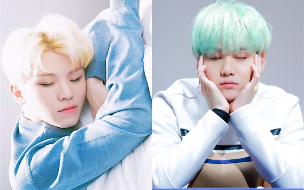 【闵玧其suga】【李知勋woozi】猫系男子图鉴